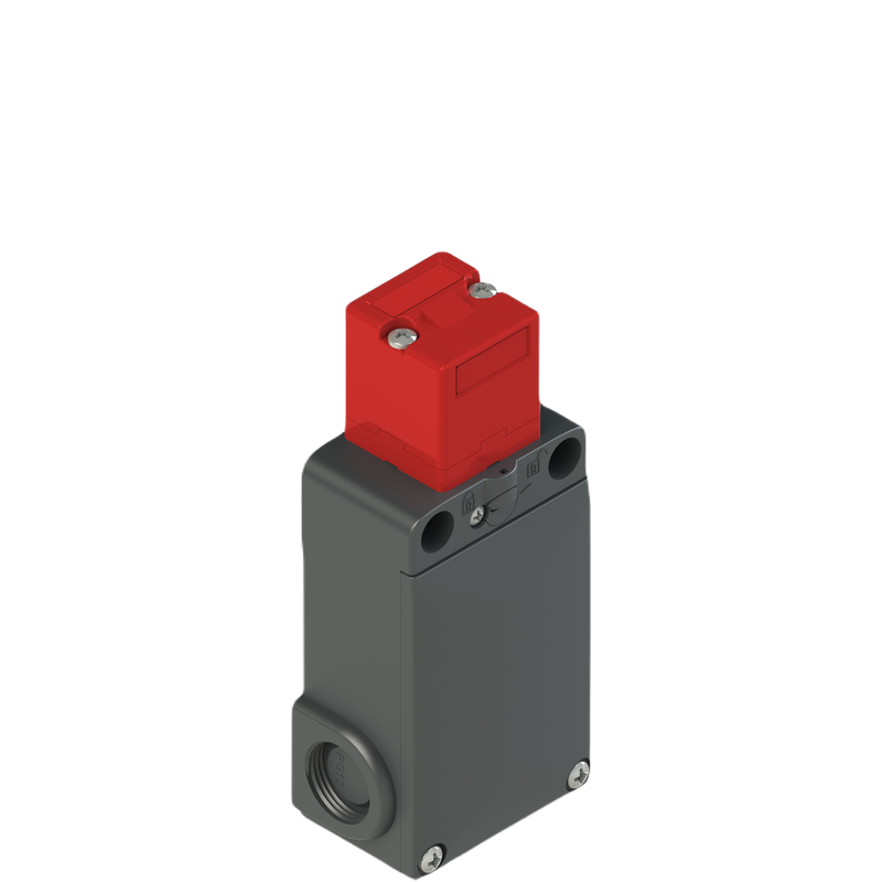 FS2896D024